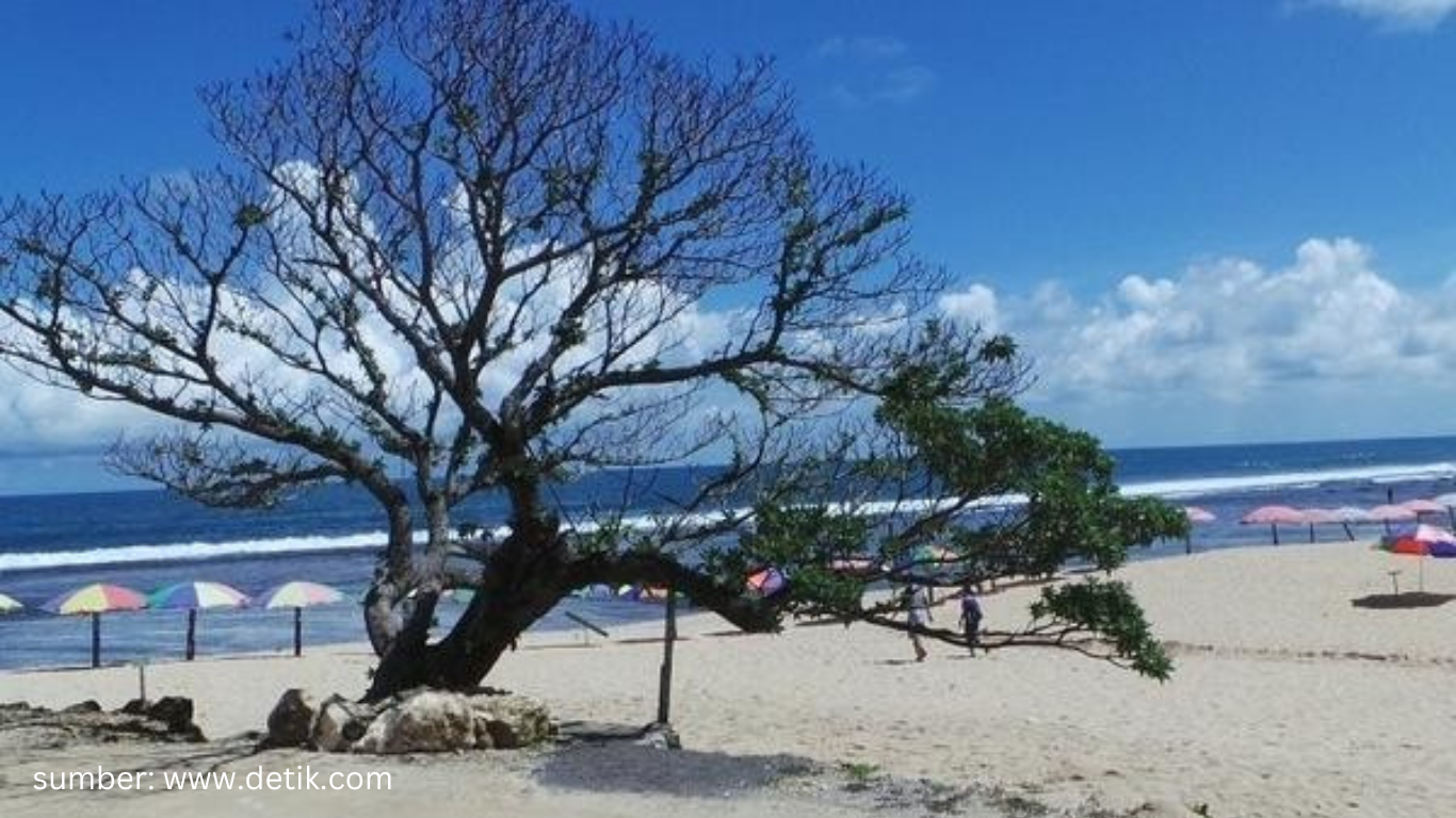 pantai pasir putih jogja