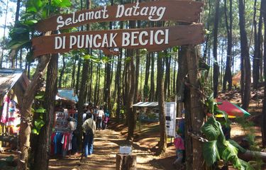 Destination Pakistan hutan pinus becici