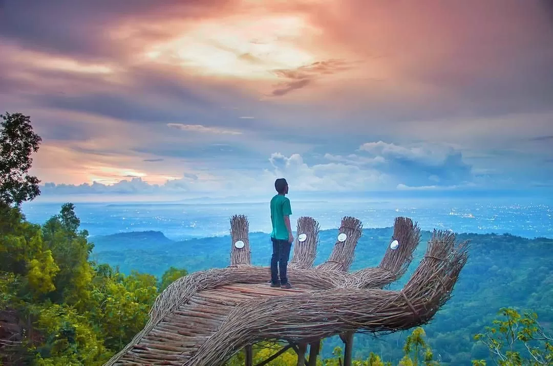 Destination Pakistan Pinus pengger