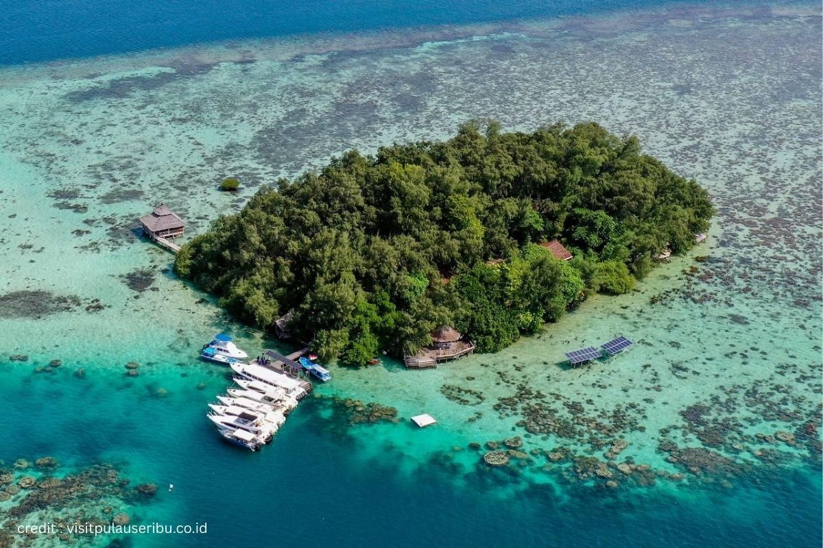 Pulau Macan