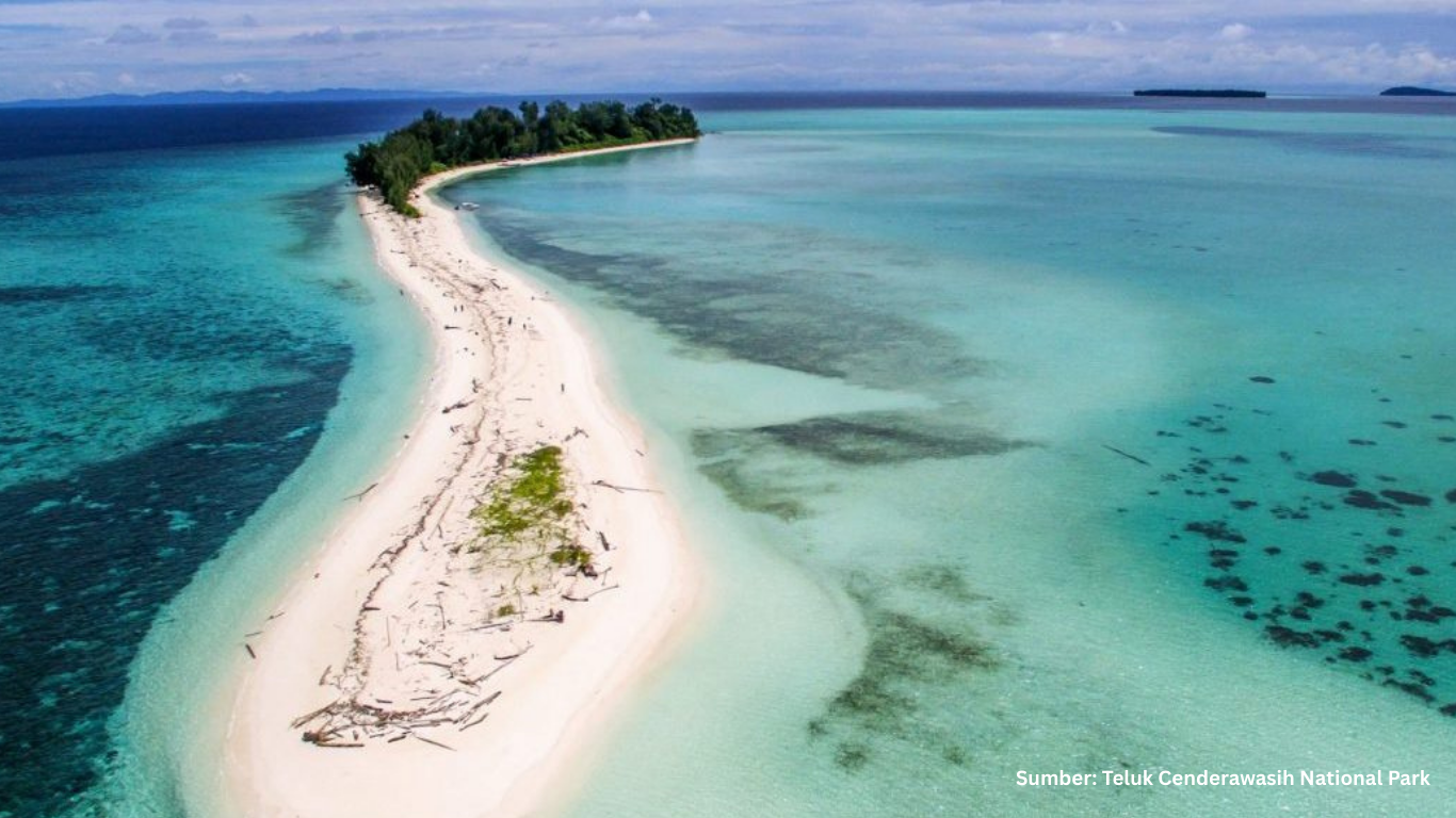 Teluk Cenderawasih National Park