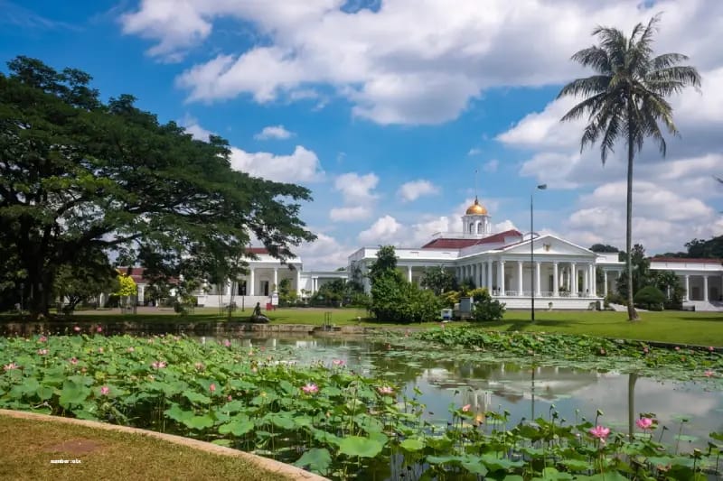 kebun raya bogor