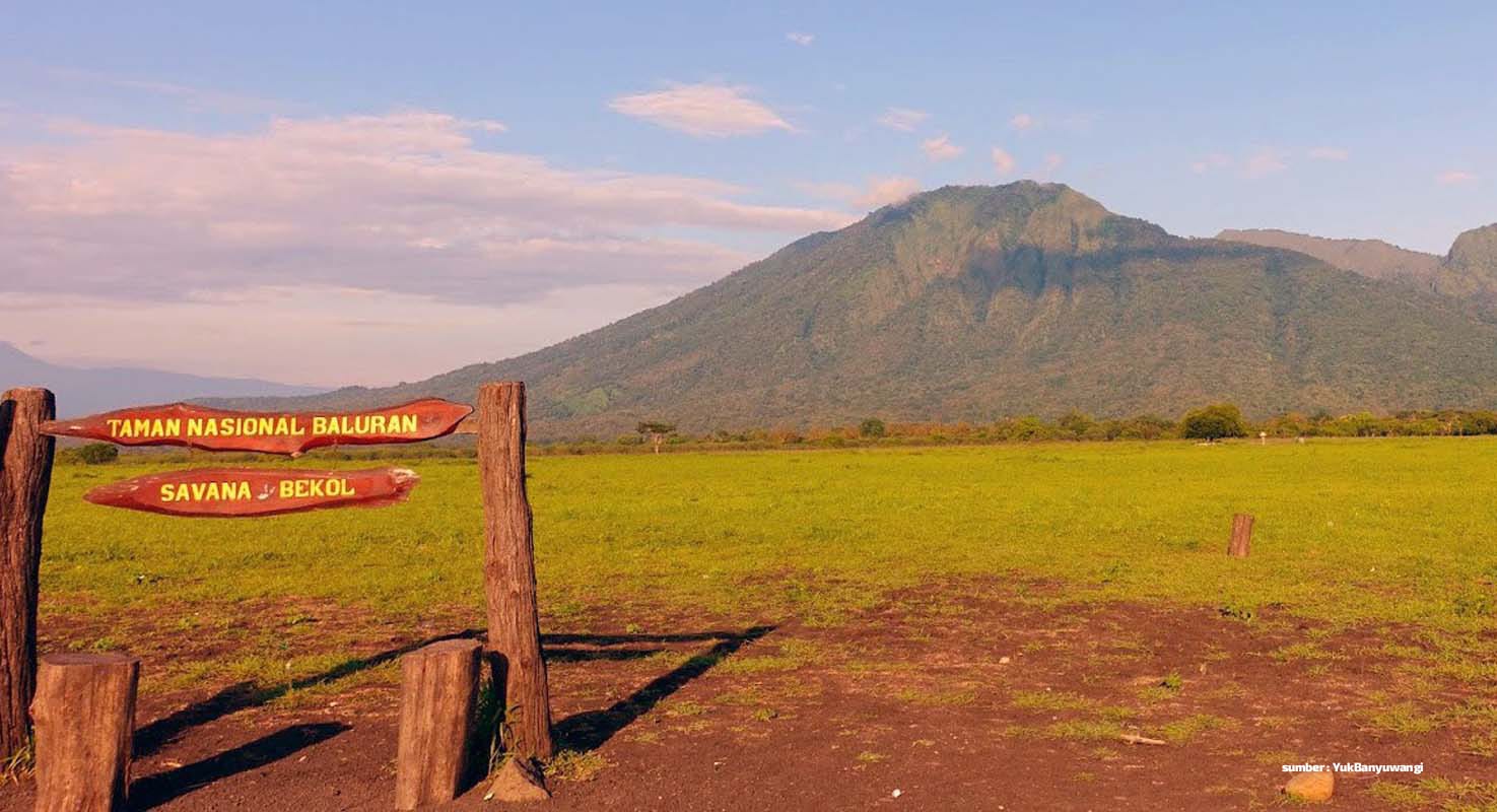 taman nasional baluran