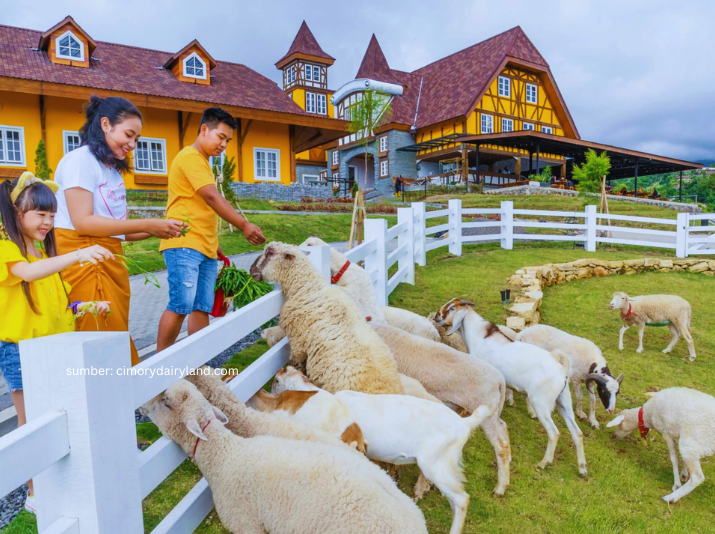 cepogo cheese park