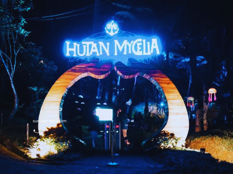 hutan mycelia