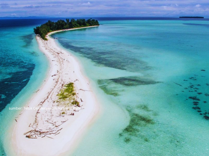 taman nasional teluk cenderawasih