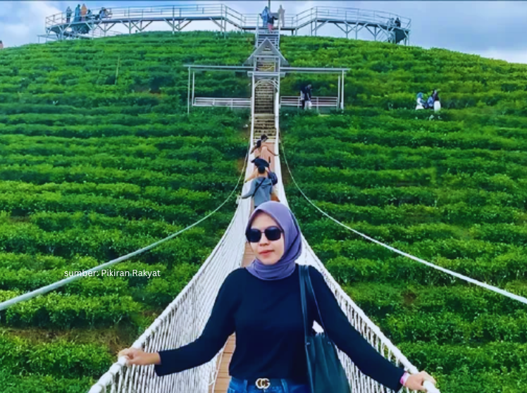 kebun teh kemuning