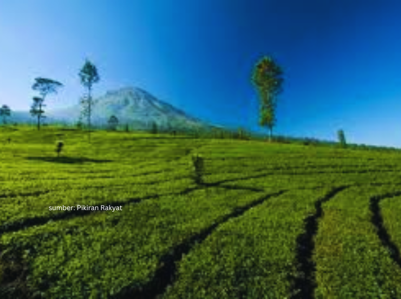 wisata tawangmangu