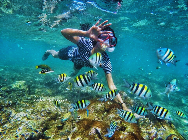 snorkeling di pantai nglambor